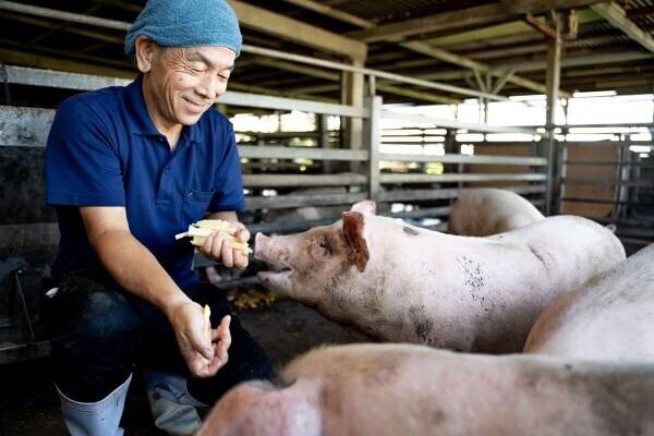 【星のや竹富島】「琉球ヌーヴェル」夏のディナーコースを提供開始 ～パイナップルを食べて育った旨味ある豚～｜開始日：2022年7月25日