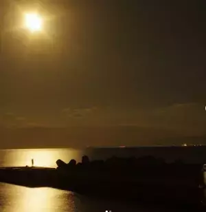 伊豆の夜を走る【月夜を駈けるムーンロードトレイン 満天の東伊豆号】