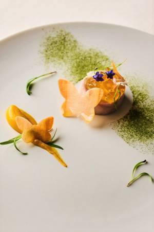 【ひらまつホテル】新緑に包まれて、「ひらまつ」と「ペリエ ジュエ」がお届けする特別な美食体験。６つのHIRAMATSU HOTELSで5月9日から6月30日まで。