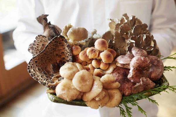 【星のや軽井沢】期間限定「シードルしゃぶしゃぶ」を提供　日本シードルマスター協会認定のアンバサダーが選定｜期間：2022年4月15日～6月30日