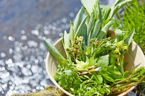 【星のや軽井沢】期間限定「シードルしゃぶしゃぶ」を提供　日本シードルマスター協会認定のアンバサダーが選定｜期間：2022年4月15日～6月30日