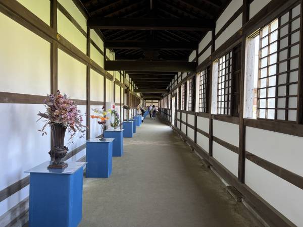 《国宝瑞龍寺と花の融合》第24回花まつフラワーデザイン展『花心論2022』を開催しました