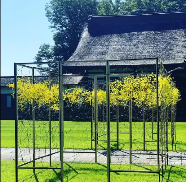 《国宝瑞龍寺と花の融合》第24回花まつフラワーデザイン展『花心論2022』を開催しました