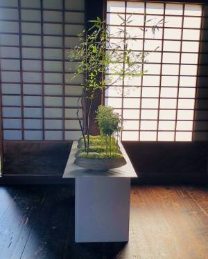 《国宝瑞龍寺と花の融合》第24回花まつフラワーデザイン展『花心論2022』を開催しました