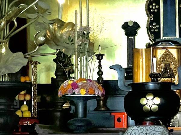 《国宝瑞龍寺と花の融合》第24回花まつフラワーデザイン展『花心論2022』を開催しました