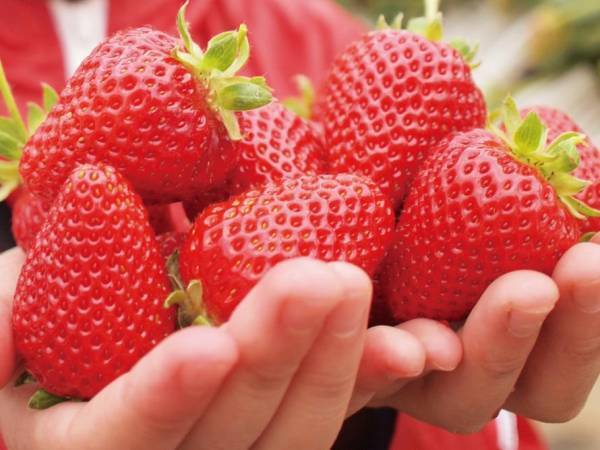 「コワーキングバスで旅する親子ワーケーションin秩父郡小鹿野町」を開催します！｜2022年3月27日、28日