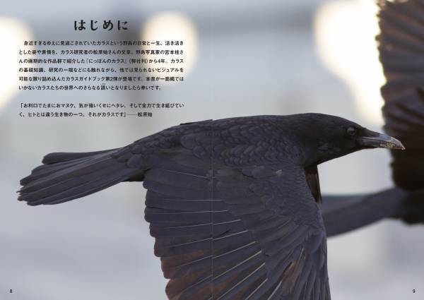 多彩なしぐさと表情にカラス愛がとまらない！！新刊『にっぽんカラス遊戯 スーパービジュアル版』5月6日発売！