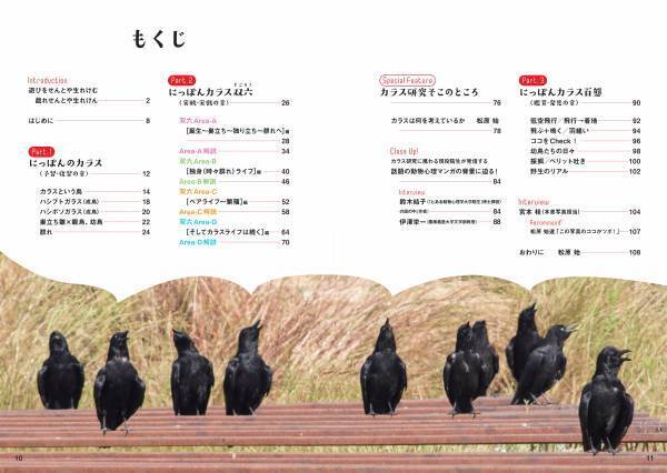 多彩なしぐさと表情にカラス愛がとまらない！！新刊『にっぽんカラス遊戯 スーパービジュアル版』5月6日発売！