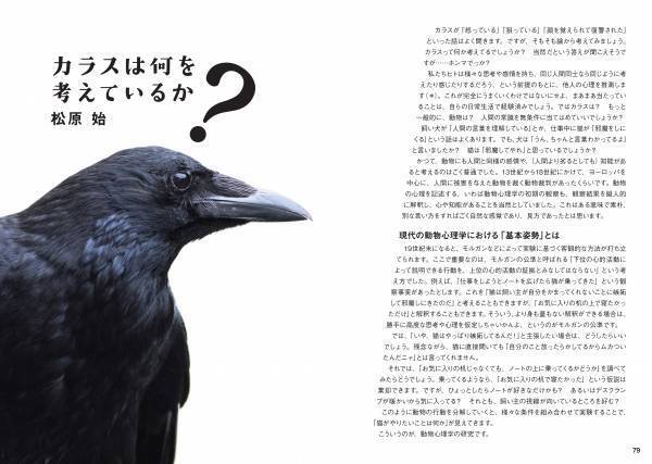 多彩なしぐさと表情にカラス愛がとまらない！！新刊『にっぽんカラス遊戯 スーパービジュアル版』5月6日発売！