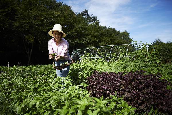 【リゾナーレ】一人旅専用プラン「リゾナーレのソロ旅」販売　～トマム、那須、八ヶ岳、熱海、小浜島の5施設～｜宿泊期間：2022年4月1日～通年