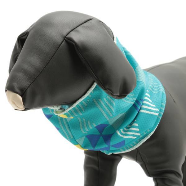 今年の夏は”エコにクールダウン！”過酷な暑さをクールダウンしてくれる便利アイテムで、快適なサマーライフを手に入れよう！