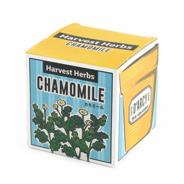 「手軽に楽しくハーブを育てよう！」オーサムストアのガーデニングツールで“春の楽しみ”増やしませんか？