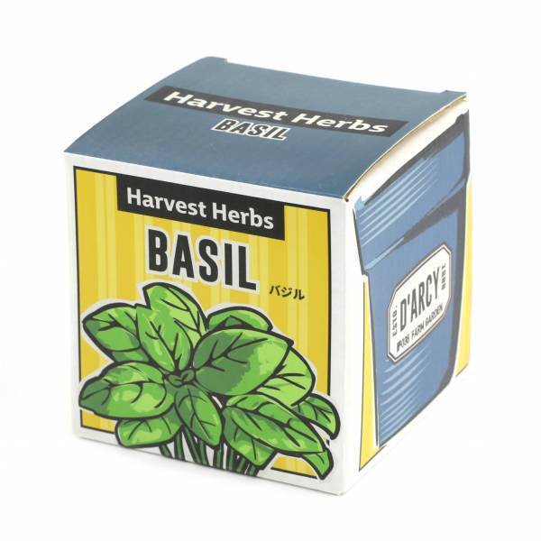 「手軽に楽しくハーブを育てよう！」オーサムストアのガーデニングツールで“春の楽しみ”増やしませんか？