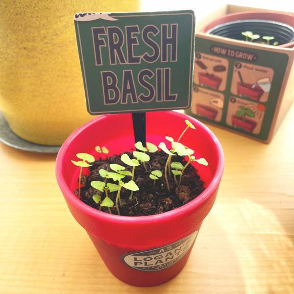 「手軽に楽しくハーブを育てよう！」オーサムストアのガーデニングツールで“春の楽しみ”増やしませんか？