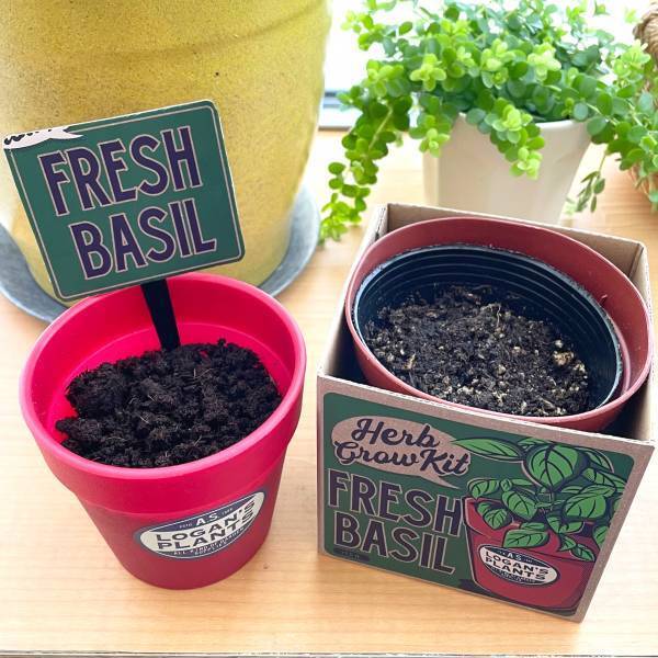 「手軽に楽しくハーブを育てよう！」オーサムストアのガーデニングツールで“春の楽しみ”増やしませんか？