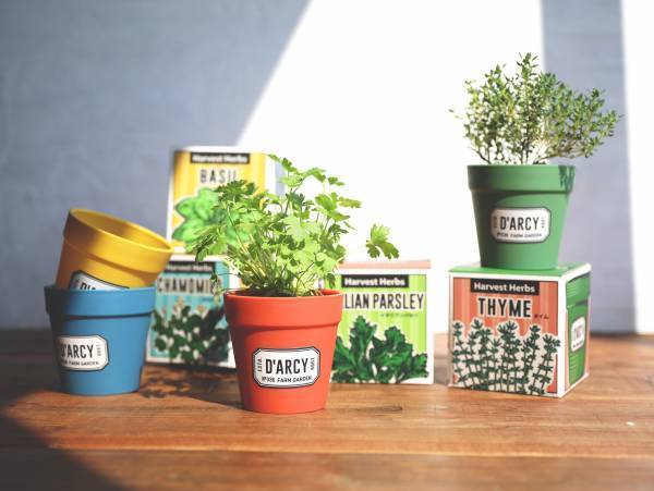「手軽に楽しくハーブを育てよう！」オーサムストアのガーデニングツールで“春の楽しみ”増やしませんか？