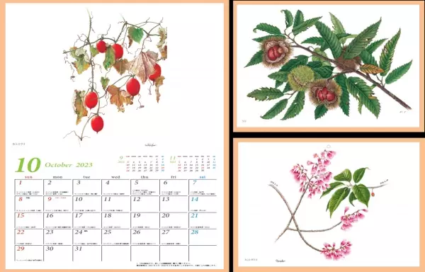 毎年大人気の「花のカレンダー2023」 10月1日販売開始