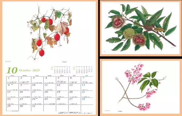 毎年大人気の「花のカレンダー2023」 10月1日販売開始