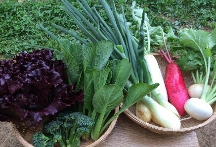 5月14日(土)『西武本川越ペペ ファーマーズマーケット』開催