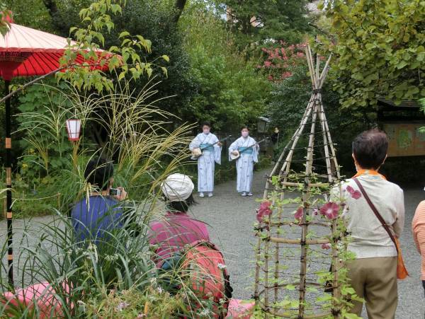 向島百花園『萩まつり』開催。９月17日（土）～10月２日（日）