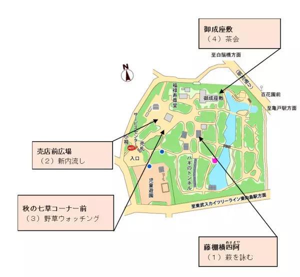 向島百花園『萩まつり』開催。９月17日（土）～10月２日（日）