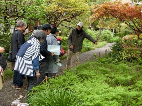 向島百花園『萩まつり』開催。９月17日（土）～10月２日（日）
