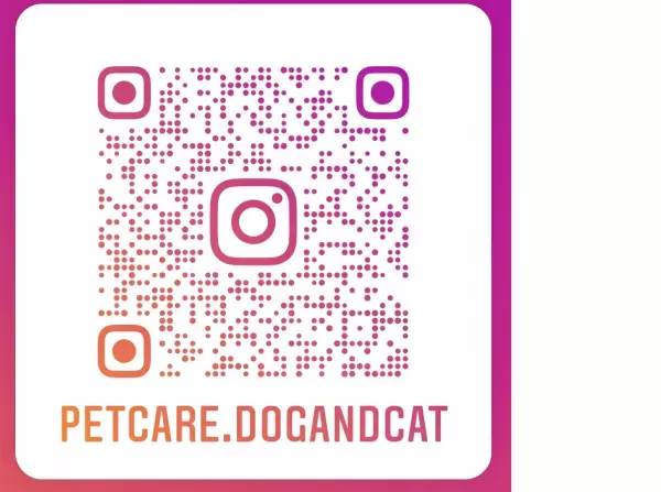 流す必要の無いペット用ドライシャンプー「PETCARE（ペットケア）」12/1公式販売開始