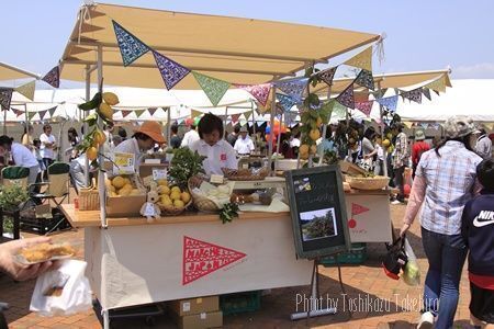 5月14日（土）、横浜駅西口エリアの公共空間などを活用し 「横浜西口 ローズフェスタ」を初開催【横浜西口エリアマネジメント】