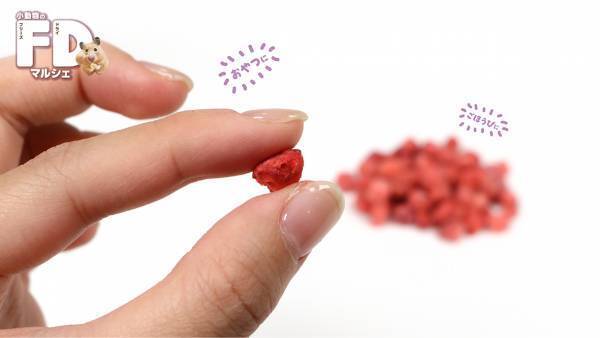 【ドギーマンハヤシ株式会社】グルメなハムちゃん・ウサちゃんなどにオススメ！素材の旨味をそのまま生かした「小動物のFDマルシェ」が新発売！