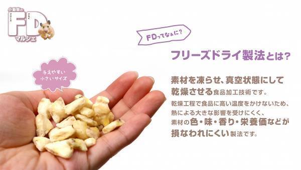 【ドギーマンハヤシ株式会社】グルメなハムちゃん・ウサちゃんなどにオススメ！素材の旨味をそのまま生かした「小動物のFDマルシェ」が新発売！