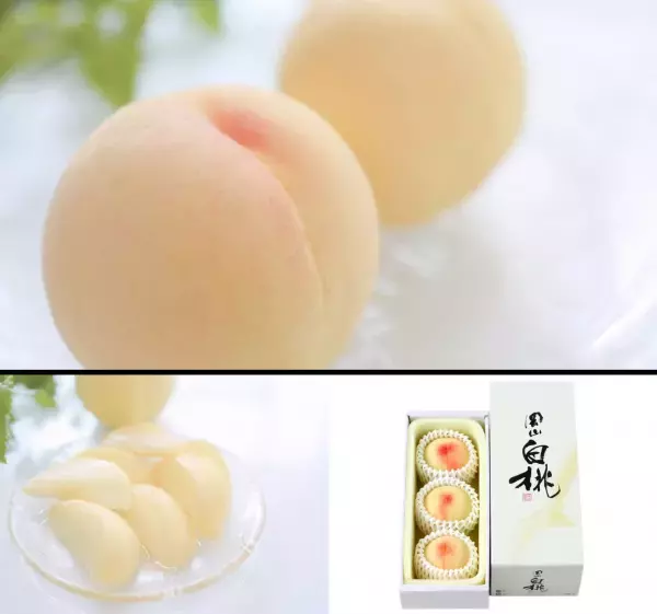 ＼たびふくスタッフが選んだ「夏ギフト5選」／純国産うなぎや宝石のような桃も！今だけのお得なクーポンもお見逃しなく！