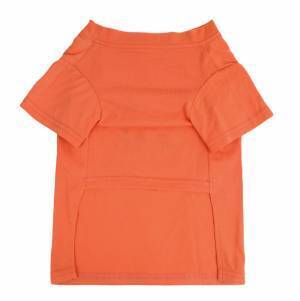 毎年恒例！ペット向けハロウィーンアイテムが登場！大切なワンちゃん・ネコちゃんとハロウィーンを楽しもう！