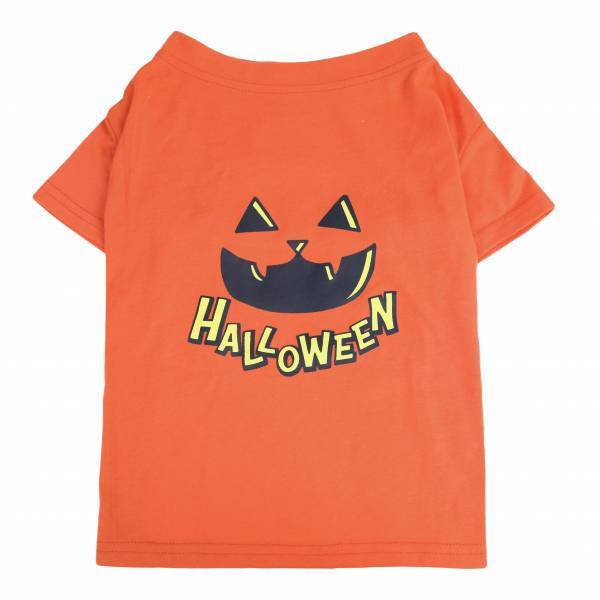 毎年恒例！ペット向けハロウィーンアイテムが登場！大切なワンちゃん・ネコちゃんとハロウィーンを楽しもう！