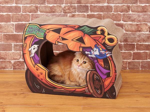 毎年恒例！ペット向けハロウィーンアイテムが登場！大切なワンちゃん・ネコちゃんとハロウィーンを楽しもう！