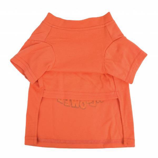 毎年恒例！ペット向けハロウィーンアイテムが登場！大切なワンちゃん・ネコちゃんとハロウィーンを楽しもう！