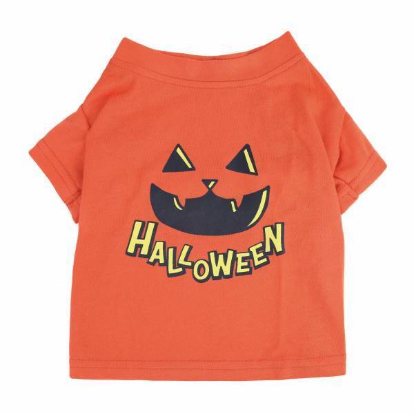 毎年恒例！ペット向けハロウィーンアイテムが登場！大切なワンちゃん・ネコちゃんとハロウィーンを楽しもう！