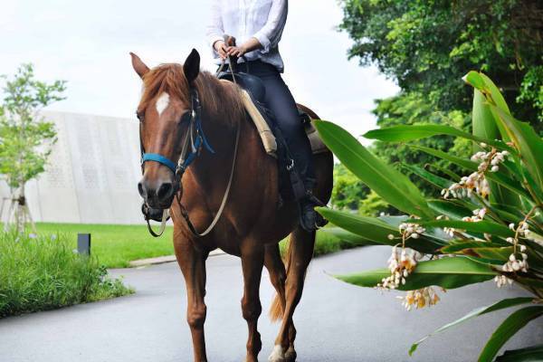 【星のや沖縄】月桃染め体験や月桃スパで心身ともにリフレッシュ「月桃ウェルネス滞在」を開催 ～月桃の花が咲くコースでの乗馬体験や月桃の香りを楽しむ料理を提供～｜開催期間：2023年3月1日～5月31日