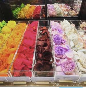 【関西初出店】1975年誕生　東京高級バラ専門店 ROSEGALLERY GINZA　大阪梅田に3月1日OPEN！！