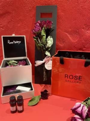 【関西初出店】1975年誕生　東京高級バラ専門店 ROSEGALLERY GINZA　大阪梅田に3月1日OPEN！！