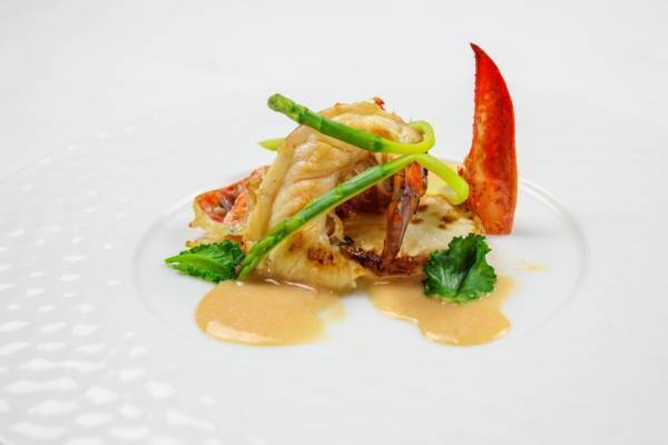 WINE CASA GRECO3号店　クリスマス特別コース　隠れ家レストランで 独創的なフレンチとワインのマリアージュを