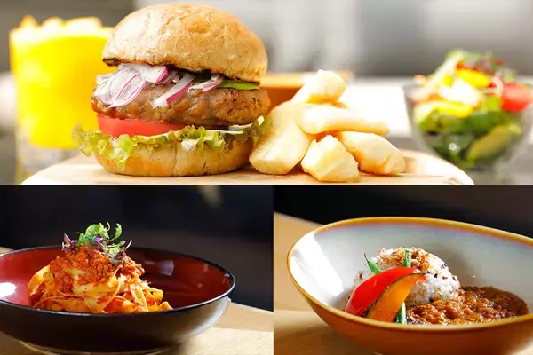 ウェルネス＆サステナブルを考える、秋の新プラン