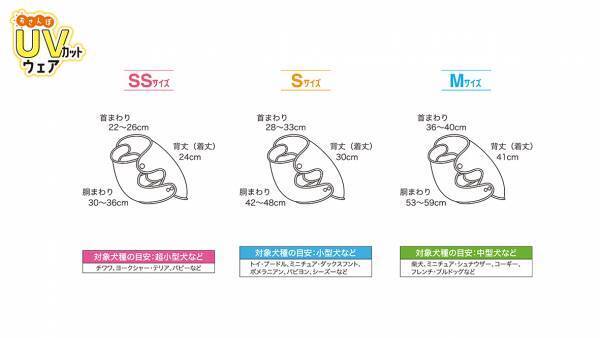 わんこも日焼け予防？！わんこの紫外線対策。わんこ専用UVカットウェアが２月２１日に新発売！