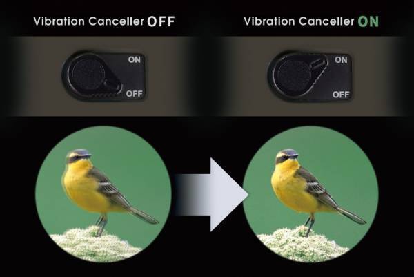 感動の視野。さらに進化した“ATERA（アテラ）II防振双眼鏡シリーズ”第2弾「ATERAII H10×21（グレージュ）」を6月16日（木）に発売。特設サイトもオープン！