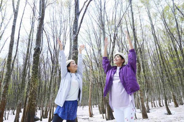 【奥入瀬渓流ホテル】約1ヵ月限定の特別な景色を満喫する「春の根びらきさんぽ」実施 ～根びらきストレッチと根びらきドリンクでリフレッシュ～｜開催期間：2022年5月9日～22日