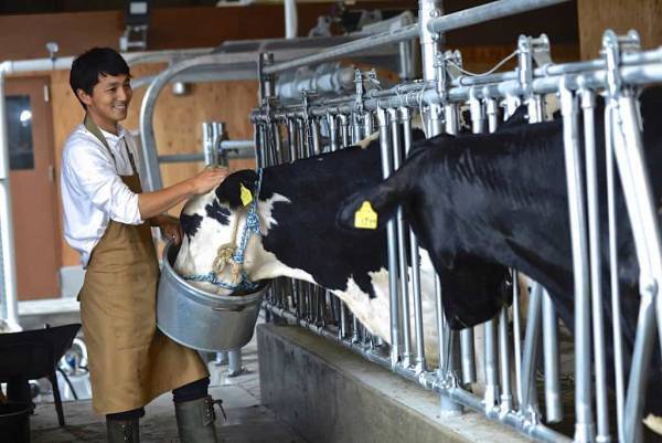 「ファーム星野」の乳製品を味わうファームカフェ 「ファームデザインズ」オープン～牛や羊などの動物が暮らす牧歌的な風景を一望できるカフェ～｜オープン日：2022年9月1日