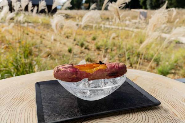 【界 霧島】焼き芋から芋焼酎までさつまいもの故郷鹿児島で満喫する「いっぺこっぺ　さつまいも滞在」販売｜期間：2022年9月20日〜10月31日