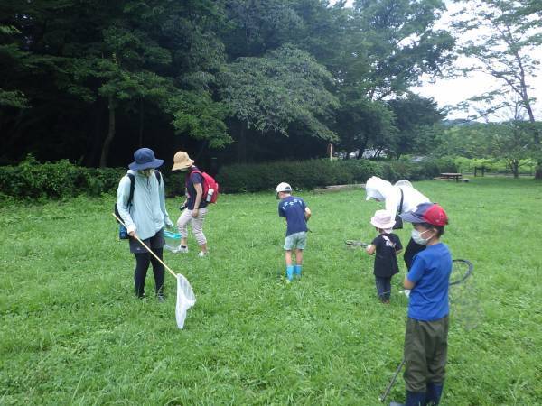 9月23日「小峰公園でバッタをさがそう！」参加者募集！