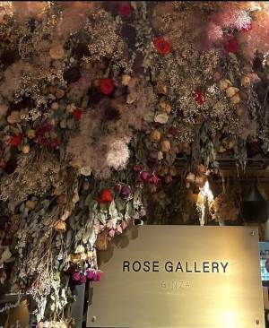 ROSE GALLERY銀座本店＆re:ROSE GINZA7リニューアル！