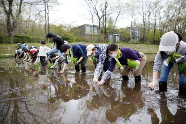 田んぼの原風景や米食文化の継承を目指したプロジェクト 「お米の学校」を今年も実施 期間：2022年4月10日〜10月30日