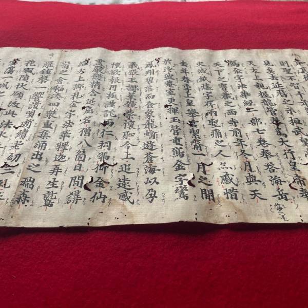 【清浄心院】1年に一度だけの秘仏公開。"秀吉の傘桜"の見ごろと共に「春の大護摩祈願祭」を開催します　/　2022年4月18日（月）～20日（水）